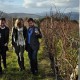 Wine Tasmania