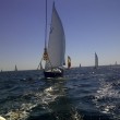 Sail Paradise 2013