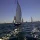 Sail Paradise 2013
