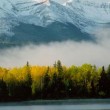 Canada - Introduction of ten-year visas Canada - Introduction of ten-year visas