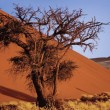 Namibia