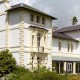 Falcondale
