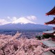 Reasons to Visit Japan