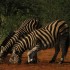South Africa Travel