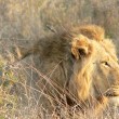 South Africa Tourism