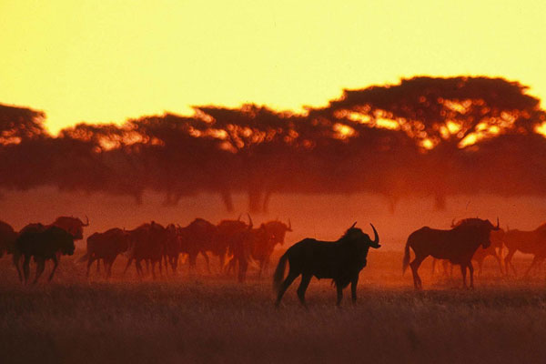 Tourism agency ready for festive season