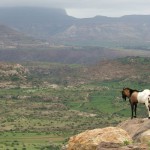 Ethiopia – Ride Rough Guides