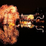 Christmas In Tivoli Gardens