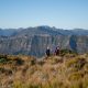 Paparoa Track