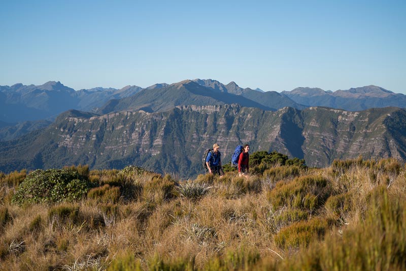 Paparoa Track opens in December 2019