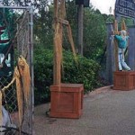 Halloween at Busch Gardens Tampa