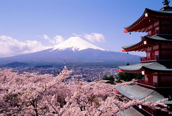 Reasons to Visit Japan