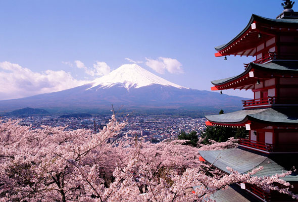 5 Reasons To Visit Tokyo