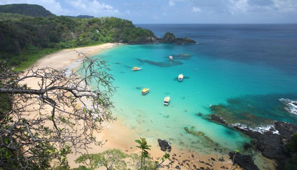 Baia do Sancho chosen as best beach
