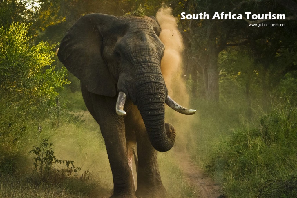 south africa tourism