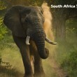 south africa tourism